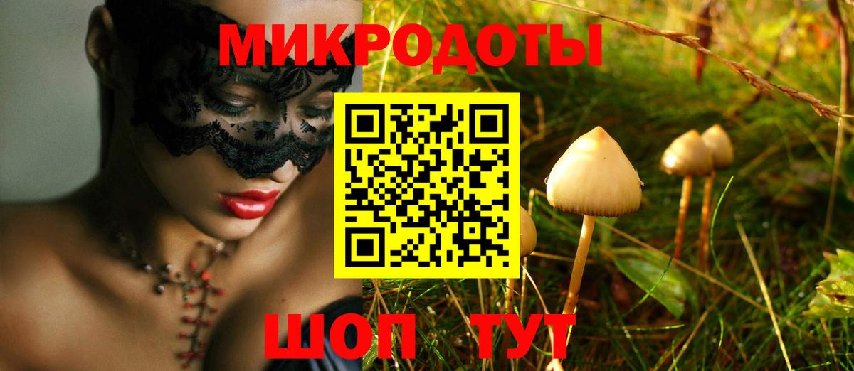 Сунжа  Галлюциногенные грибы Cubensis  где найти наркотики  Вход с VPN 
